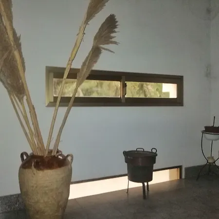 Bed and Breakfast Leopardi
